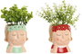 DKD Home Decor Plantas de PE y Cerámica Surtidas Rojo y Azul