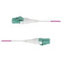 StarTech.com Cable de Fibra Óptica Multimodo OM4 LC a LC UPC 40m Violeta Érica