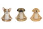 DKD Home Decor Surtido de 3 Figuras de Perro en Resina Marrón