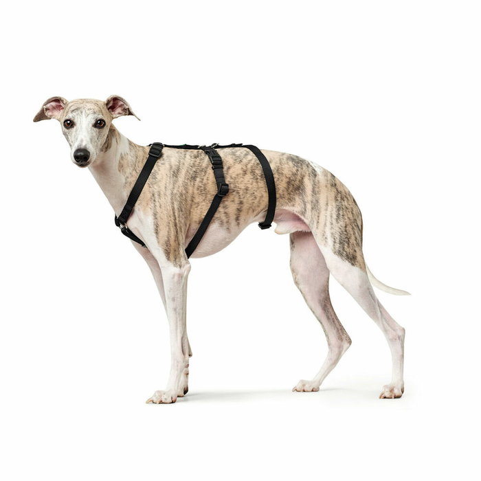 Hunter Harness Safety VR Negro M-L