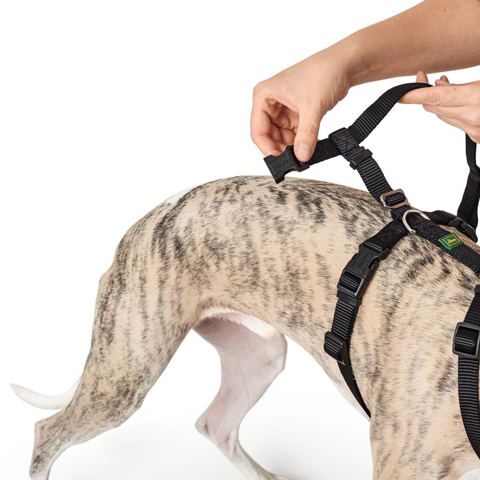 Hunter VARIO RAPID Arnés de Seguridad para Perros, Pecho 64-100 cm, Negro