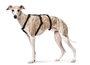 Hunter VARIO RAPID Arnés de Seguridad para Perros, Pecho 64-100 cm, Negro