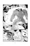 Last Man 06