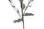 DKD Home Decor Rama Eva 35X35X104 Surtido de 2 Colores