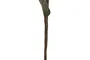 DKD Home Decor Flor Rosa Verde 97 x 20 x 5 cm (6 Unidades) Eva