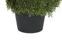 DKD Home Decor Planta de Ciprés Verde Topiario 40x40x123 cm (Pack de 2)