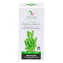 Armonia Contorno de Ojos y Labios con Algas Marinas 30 ml