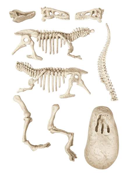 Clementoni Juego Arqueojugando T-Rex Fosforescente, Excava y Desentierra Restos de Tiranosaurio, 15x21x5.5 cm