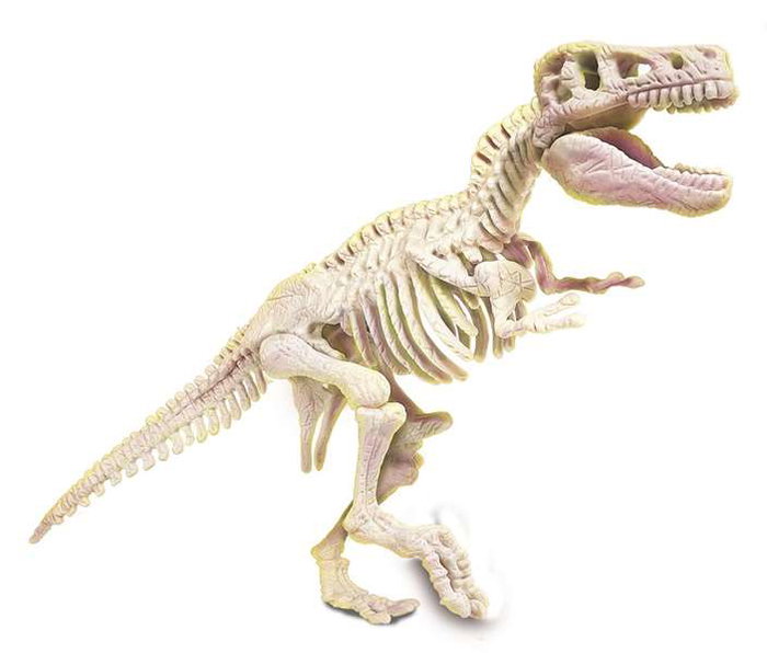 Clementoni Juego Arqueojugando T-Rex Fosforescente, Excava y Desentierra Restos de Tiranosaurio, 15x21x5.5 cm