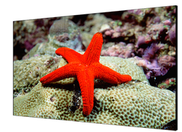 Hikvision DS-D2055HR-G Pantalla Mural de Vídeo LCD de 55" para Interior Full HD 700 cd/m²