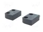 PIZZATO ELETTRICA SR-A SRAL40ALK-A01N Interruptor de seguridad magnético NC x2 IP67