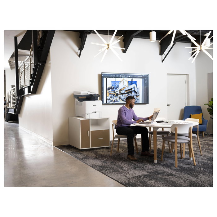 Xerox VersaLink C625DN - Impresora Multifunción Laser Color A4, 50 ppm, Doble Cara, WiFi, Ethernet, USB, Escáner, Copiadora, Fax