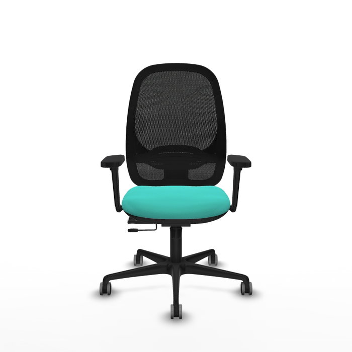 PIQUERAS Y CRESPO Silla de oficina Cilanco con mecanismo Sincro/Traslack Turquesa y Negro PIQUERAS Y CRESPO Silla de oficina Cilanco con mecanismo Sincro/Traslack Turquesa y Negro