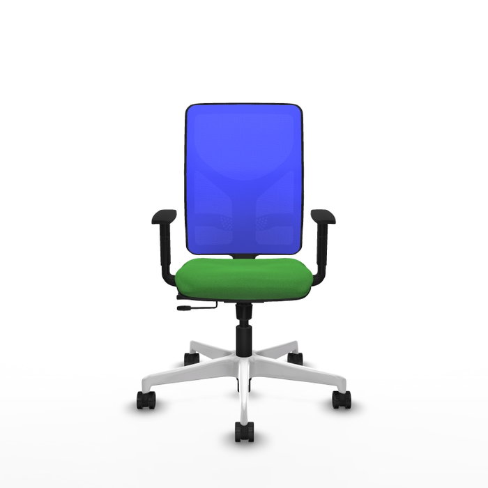 PIQUERAS Y CRESPO Silla de oficina Motilla con mecanismo Sincro/Traslack, Verde y Azul PIQUERAS Y CRESPO Silla de oficina Motilla con mecanismo Sincro/Traslack, Verde y Azul