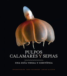 OMEGA, PULPOS, CALAMARES Y SEPIAS: GUIA VISUAL Y CIENTIFICA, Roger Hanlon