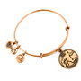 Alex And Ani Pulsera Acuario II Dorado