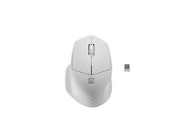 Natec Siskin 2 Ratón inalámbrico Óptico 1600 DPI 3 Botones Bluetooth 5.0 + 2.4 GHz Mujer Blanco
