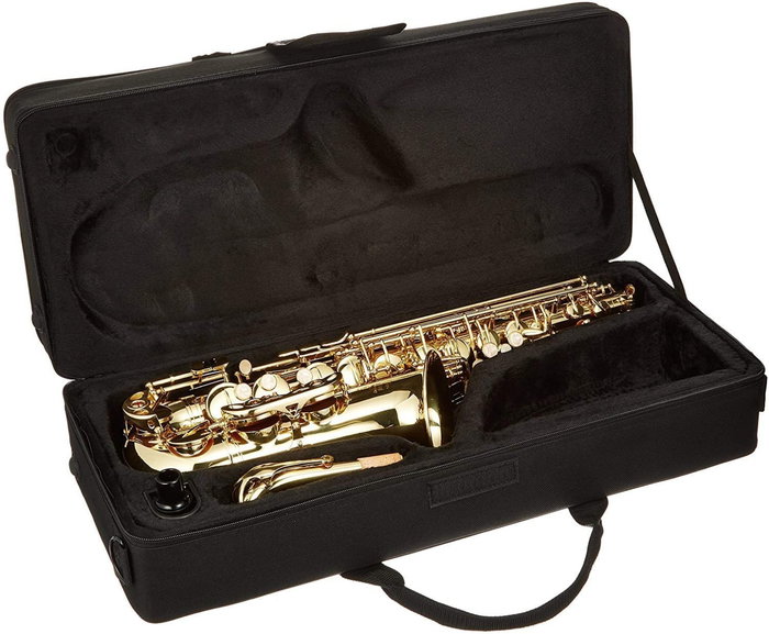 Saxo Alto J. Michael Lacado Al500