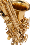 Saxo Alto J. Michael Lacado Al500