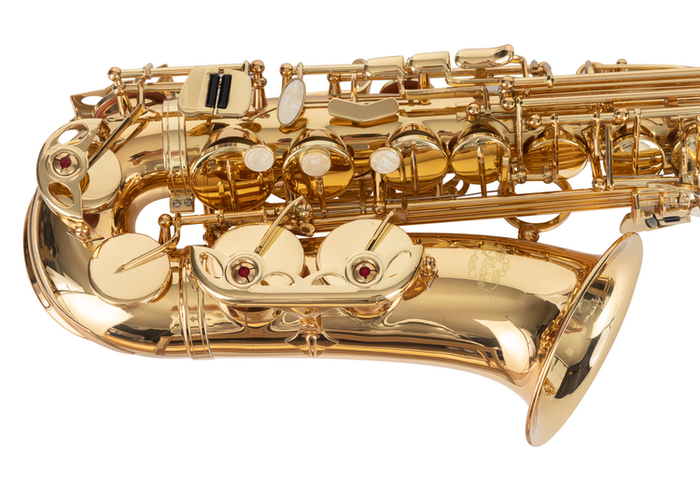 Saxo Alto J. Michael Lacado Al500