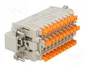 ILME CDSHM27 Conector HDC Macho de 27 Pines