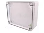 ELEKTRO-PLAST NASIELSK Carcasa Universal Industrial Gris