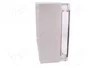 ELEKTRO-PLAST NASIELSK Carcasa Universal Industrial Gris
