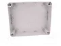 ELEKTRO-PLAST NASIELSK Carcasa Universal Industrial Gris