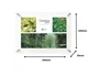 Archivo 2000 Expositor Mural Premium A4 Cristal Transparente