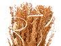 Giftdecor Florero Alto Pequeño Surtido Colores Natural y Ocre 10x25x10 cm Ceramica Materia Vegetal (Set de 18)