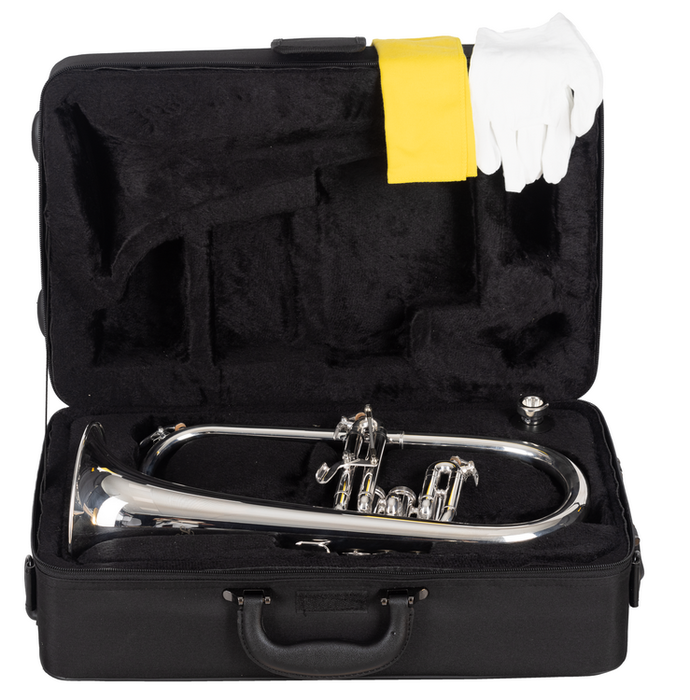 J.Michael Fliscorno FG550S Plateado en Si bemol