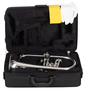 J.Michael Fliscorno FG550S Plateado en Si bemol
