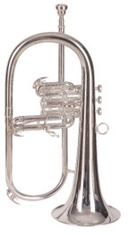J.Michael Fliscorno FG550S Plateado en Si bemol