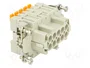 ILME CSHF 10 Conector Hembra HDC de 10 Pines