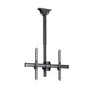 StarTech Soporte de Techo para TV Movimiento Total 32 a 75 Pulgadas