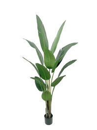 DKD Home Decor Planta Ave del Paraíso Verde con Macetero de Cemento 80x80x205 cm