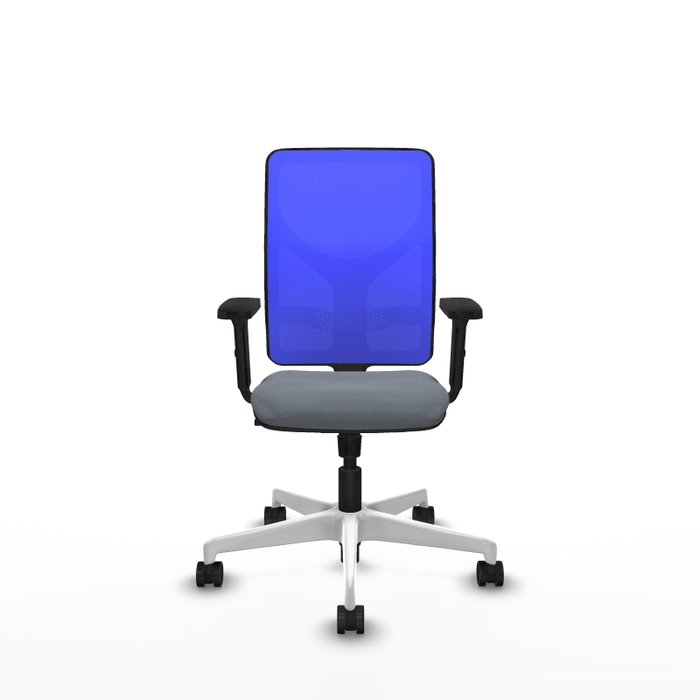 PIQUERAS Y CRESPO Silla de oficina Motilla con mecanismo Sincro, Gris y Azul PIQUERAS Y CRESPO Silla de oficina Motilla con mecanismo Sincro, Gris y Azul