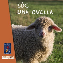 BARCANOVA Sóc una ovella
