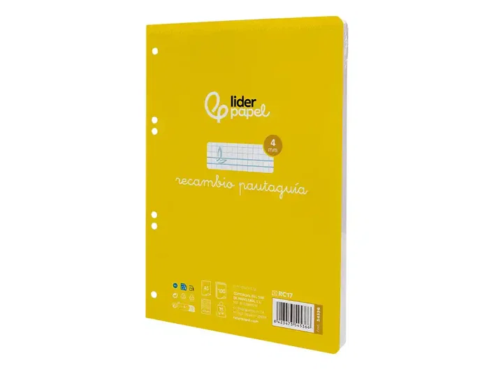 Liderpapel Recambio A5 Pautaguía 100 Hojas 75gr Cuadriculado Pautado 4mm con Margen 6 Taladros