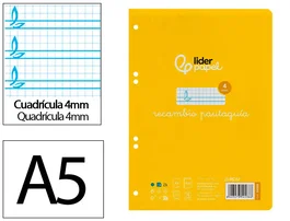 Liderpapel Recambio A5 Pautaguía 100 Hojas 75gr Cuadriculado Pautado 4mm con Margen 6 Taladros