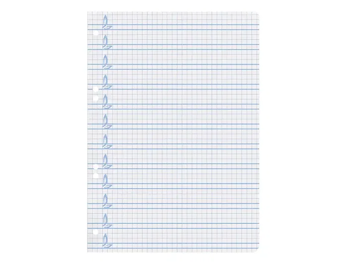 Liderpapel Recambio A5 Pautaguía 100 Hojas 75gr Cuadriculado Pautado 4mm con Margen 6 Taladros