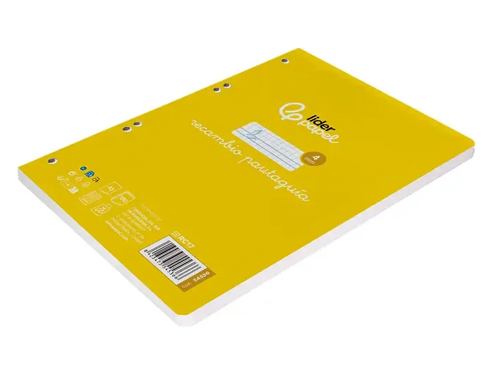 Liderpapel Recambio A5 Pautaguía 100 Hojas 75gr Cuadriculado Pautado 4mm con Margen 6 Taladros