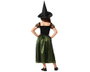 Atosa Disfraz de Bruja con Vestido Verde y Sombrero para Niña