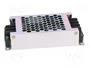 MEAN WELL RSD-30L-24 Convertidor DC/DC 30W 24VDC