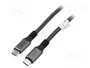 Digitus Cable USB4.0 USB-C a USB-C 20Gbit/s 3m Negro