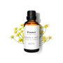 DAFFOIL Aceite Esencial Hinojo Dulce 100% Puro Natural BIO para Aromaterapia, Difusores - 100 ml