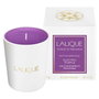 Lalique Les Compositions Parfumées Electric Purple Vela aromática