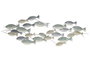 DKD Home Decor Decoracion Pared Mediterraneo Azul Turquesa Metal Peces 5 x 44 x 128 cm (2 Unidades)