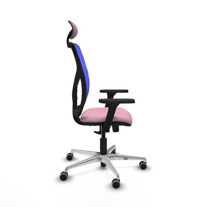 PIQUERAS Y CRESPO Silla de oficina Motilla con Mecanismo Sincro, Rosa y Azul