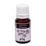 PLANTIS Aceite Esencial de Orégano
